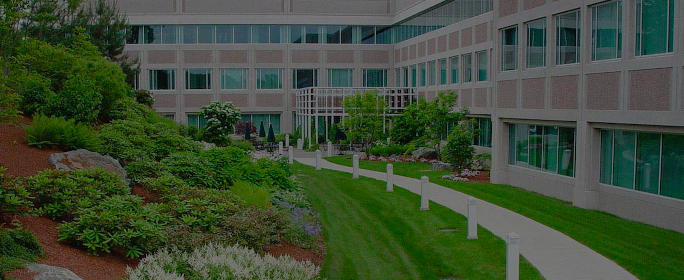 Denver Commercial Landscaping: Why Xeriscape Makes Financial Sense 1 You are currently viewing Denver Commercial Landscaping: Why Xeriscape Makes Financial Sense