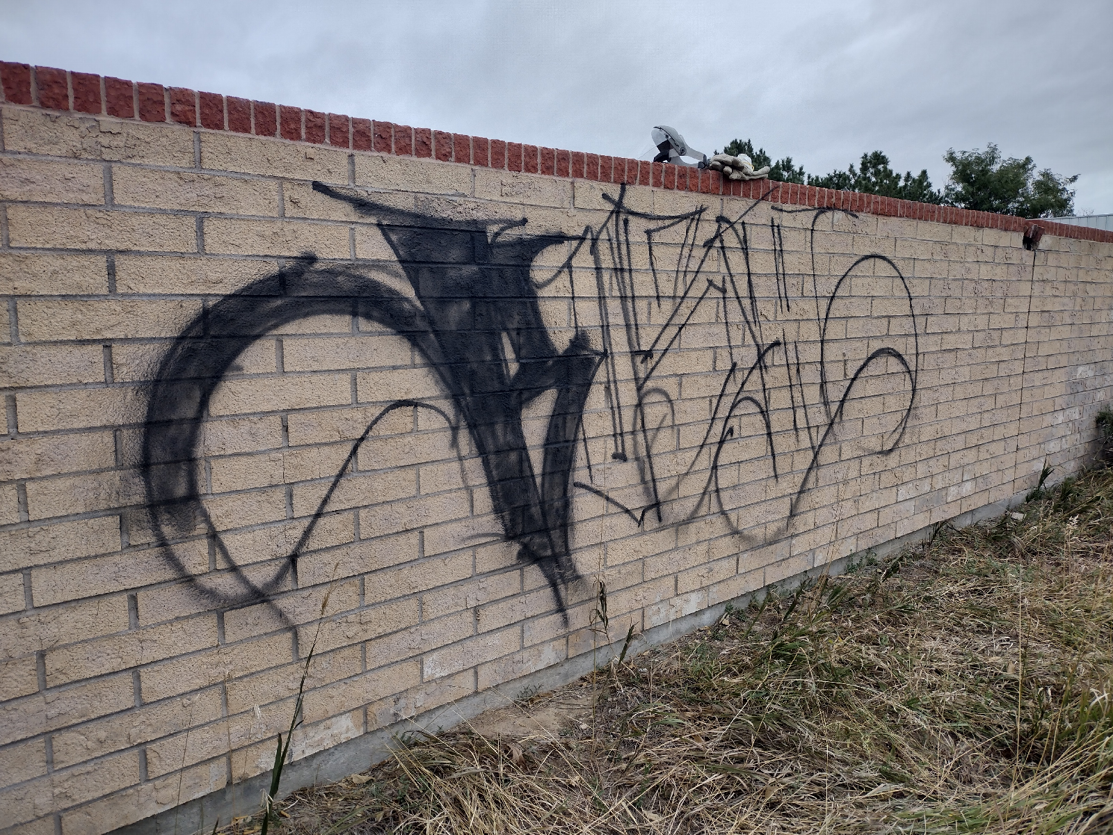 Graffiti Removal Before